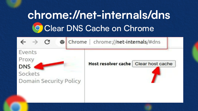 chrome.//net-internals/dns