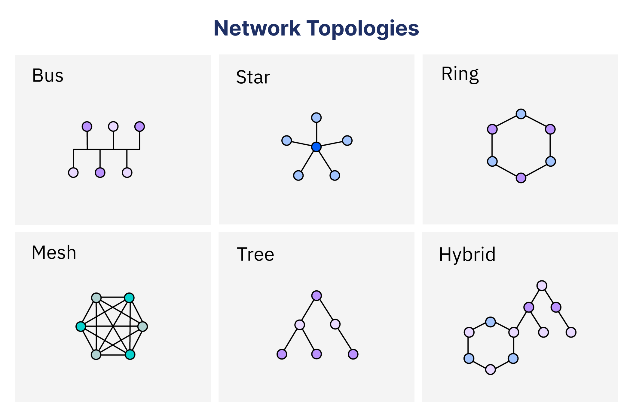 Network Topologies