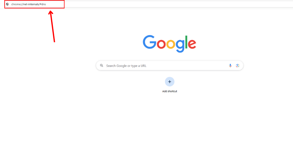 Entering the special URL to access Chrome's DNS internal settings.
