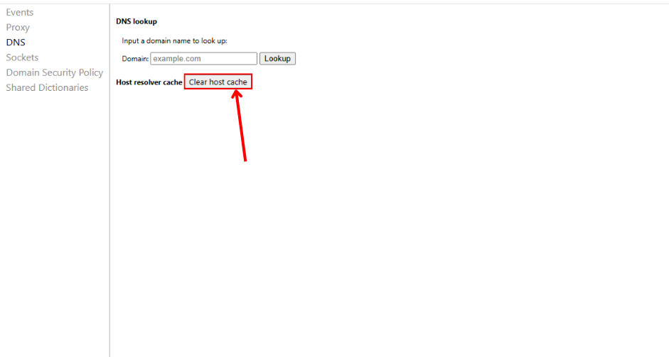 The final step: clicking the 'Clear host cache' button.