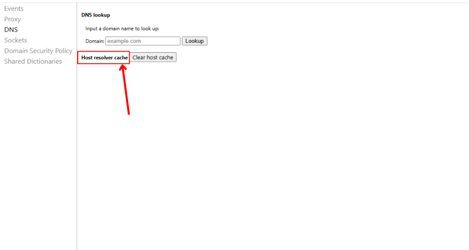 Finding the 'Host resolver cache' section on the Chrome DNS page.