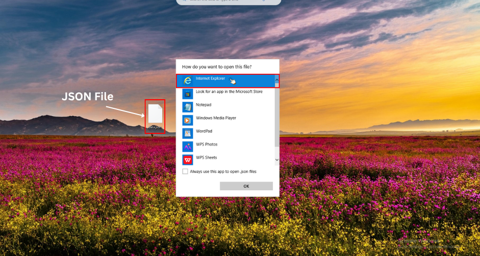 How to open json file in browser