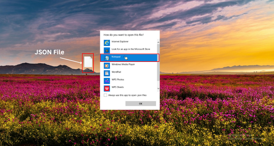 How to open json file in notepad